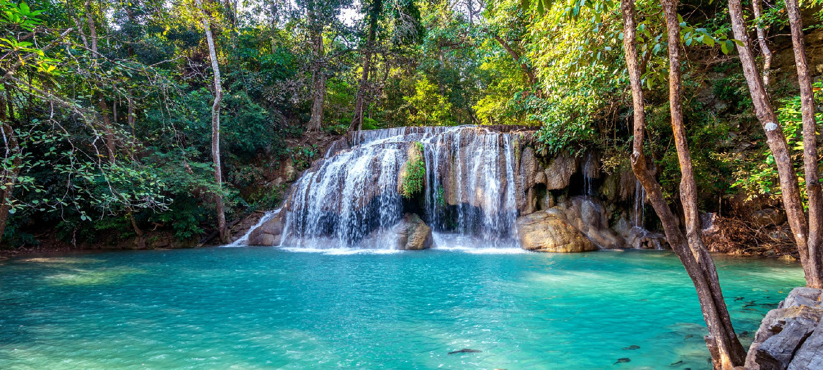 Naturaleza Viva
